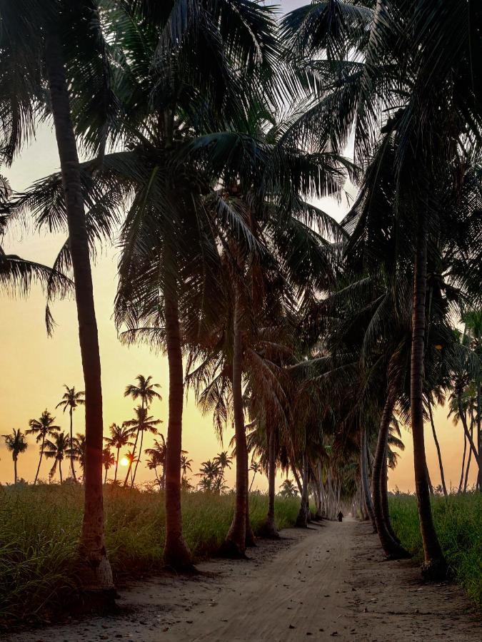 Alesara Guest House Thoddoo Buitenkant foto